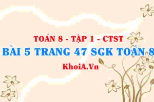 Bài 5 trang 47 SGK Toán 8 Tập 1 Chân trời sáng tạo
